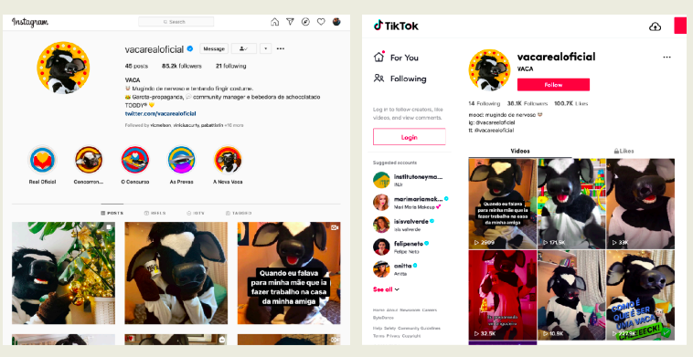 @vacarealoficial · Instagram + TikTok